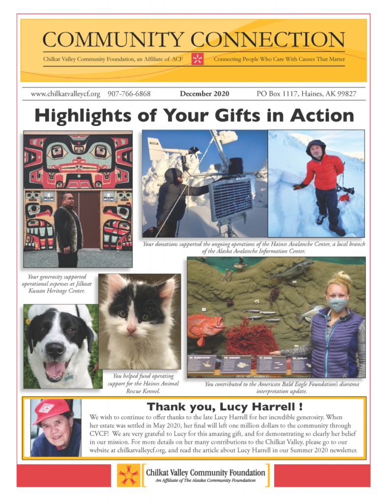 Newsletter with images of 2020 grantees and highlights of the year, including a kitten and dog, avalanche monitoring equipment, and the front panel entry to the Jilkaat Kwaan Heritage Center with red, black, and turquoise painted Tlingit designs